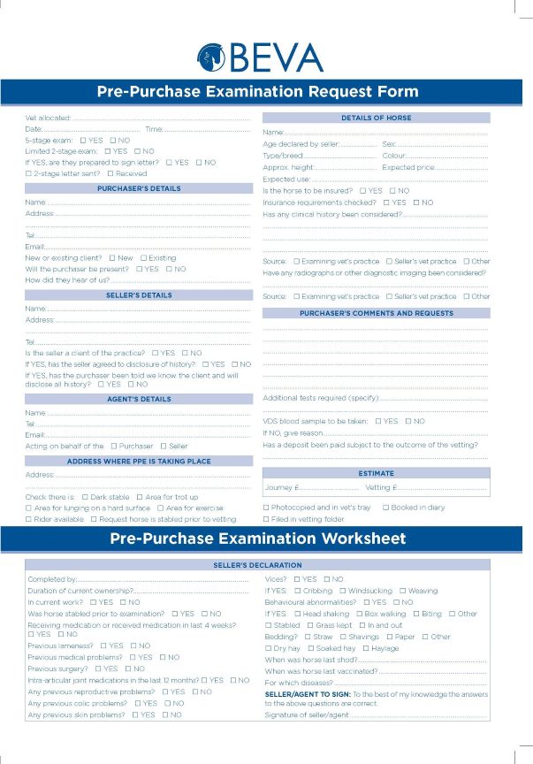 PPE Worksheet preview